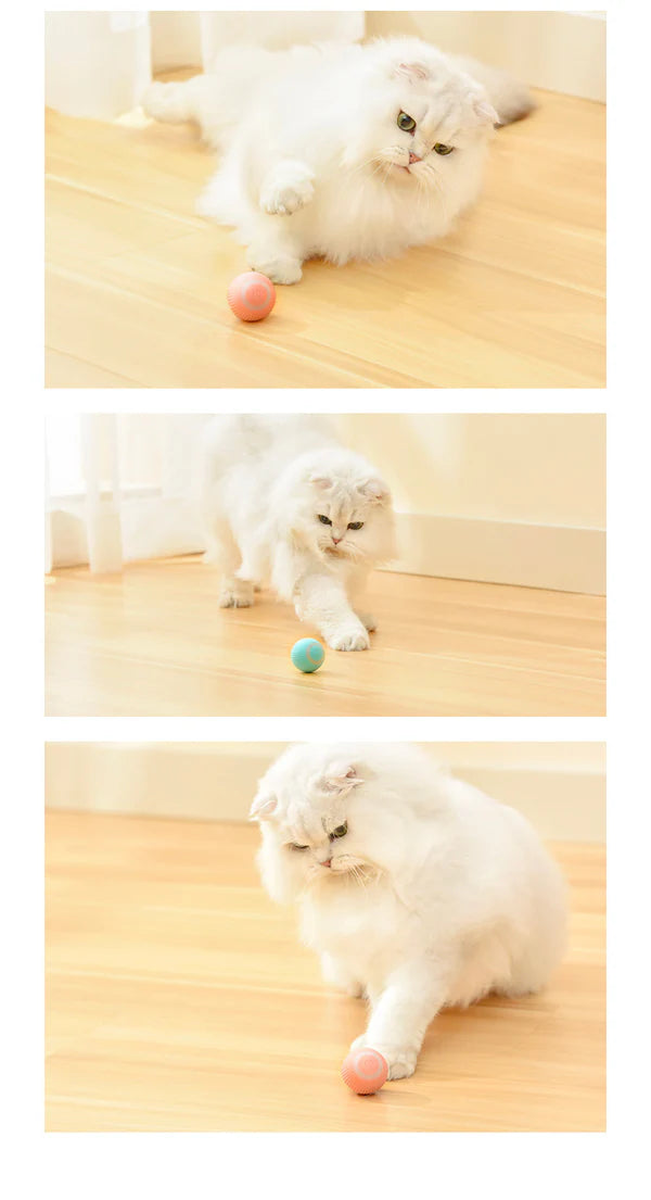 Cats Toy Automatic Rolling Ball Electric