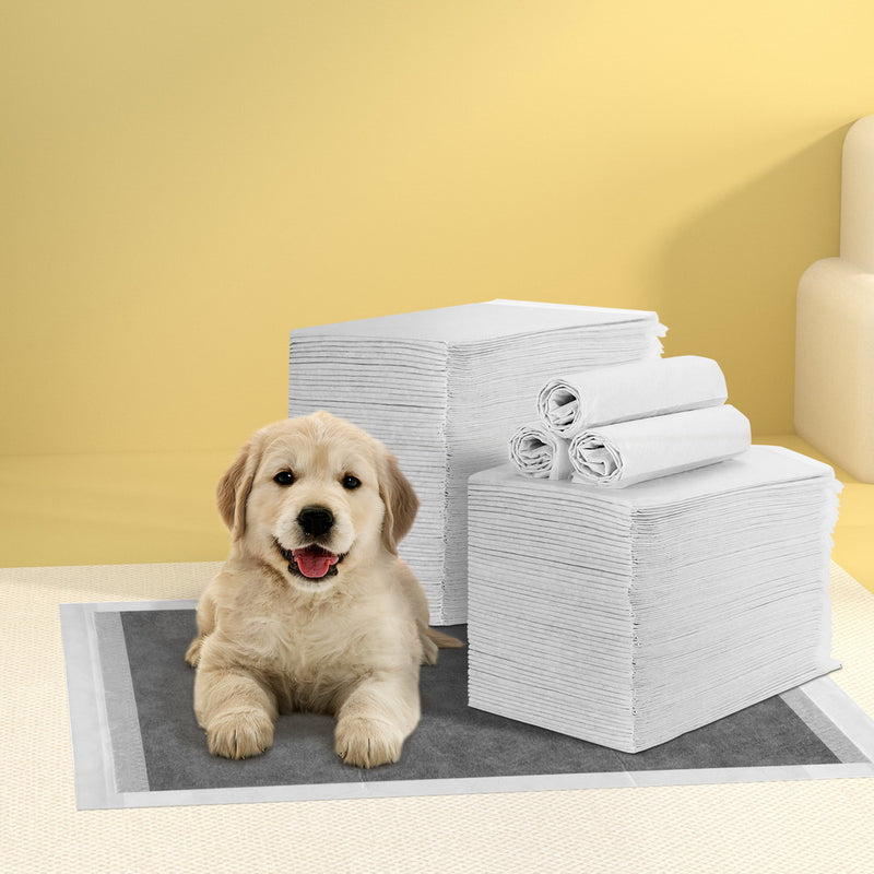 i.Pet Pet Training Pads 200pcs 60x60cm Puppy Dog Toilet Pee Indoor Super Absorbent