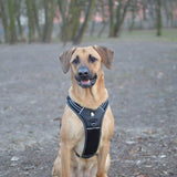 Reflective Heavy Duty Harness Black