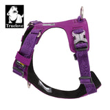 Lightweight Harness Purple