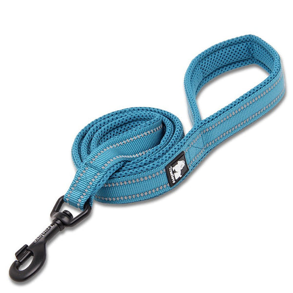 Reflective Pet Leash 2 meters Blue