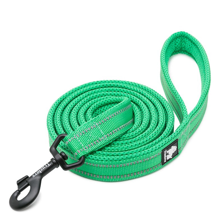 Reflective Pet Leash 2 meters Green