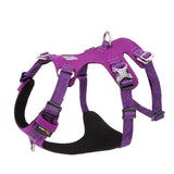 Whinhyepet Harness Purple