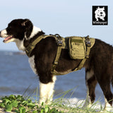 Whinhyepet Military Harness Army Green