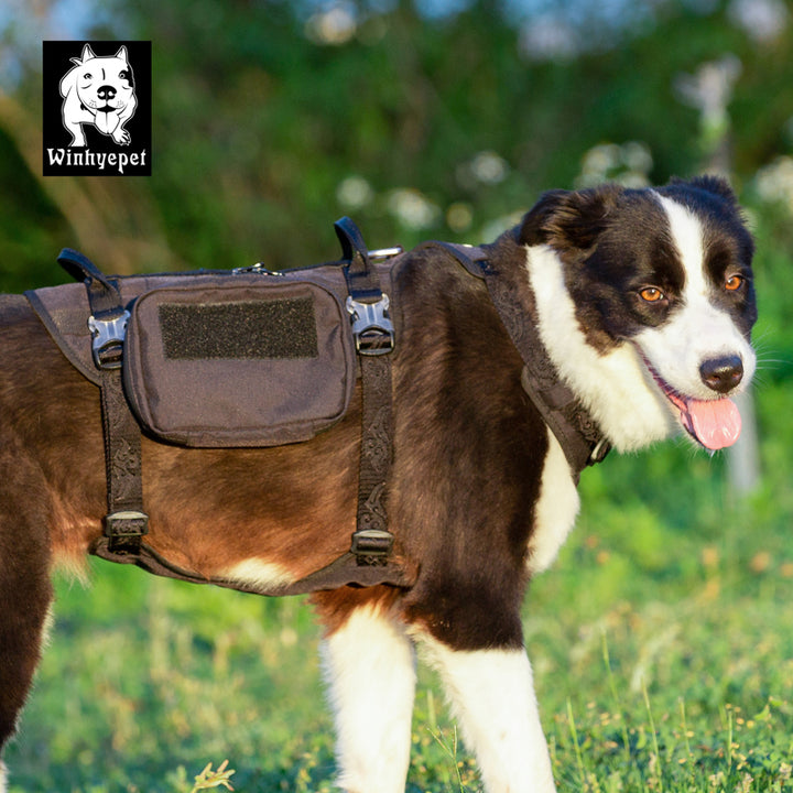 Whinhyepet Military Harness Black