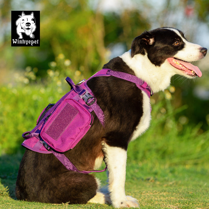 Whinhyepet Military Harness Purple