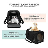 Floofi Portable Pet Carrier