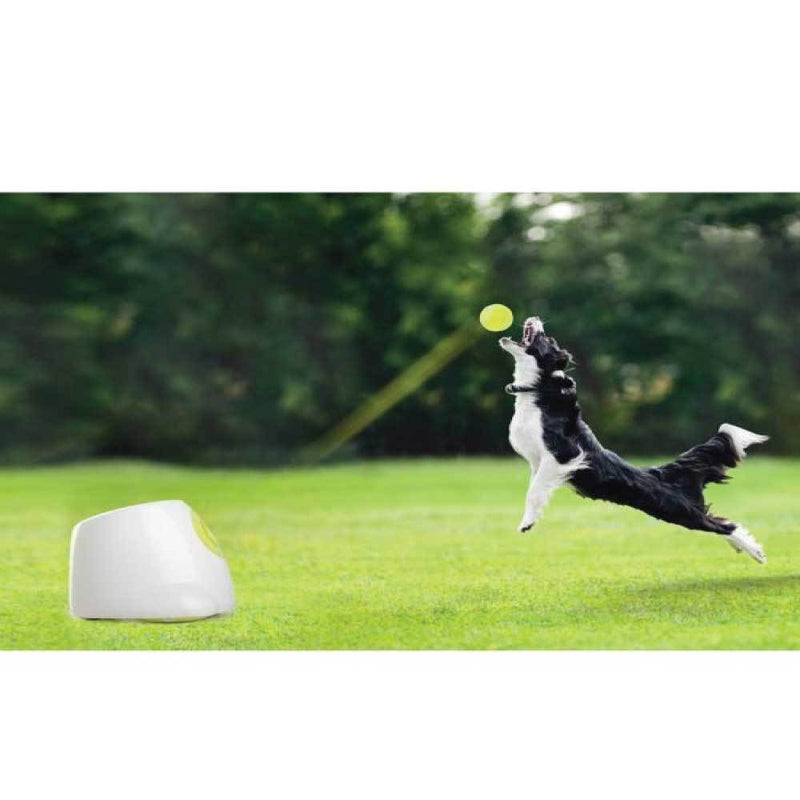 Hyper Fetch Dog Ball Thrower - Interactive Pet Toy Launcher