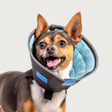 Calmer Collar - Adjustable Comfort for Your Pet