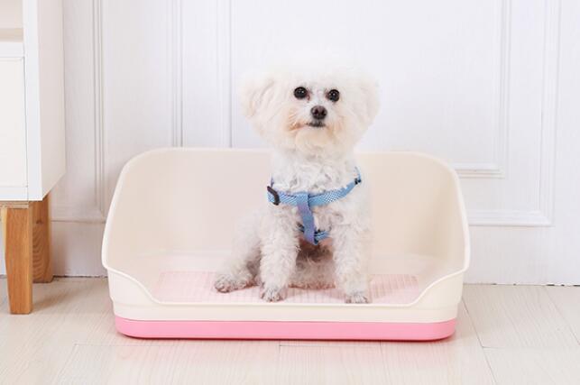 YES4PETS Medium Portable Dog Potty Training Tray Pet Puppy Toilet Loo Pad Mat With Wall