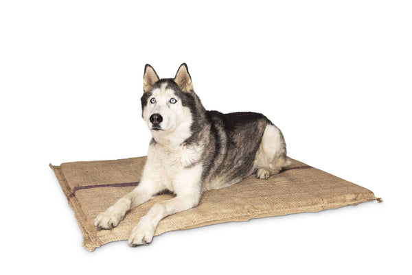 Hessian Pet Dog Puppy Bed Mat Pad House Kennel Cushion With Foam