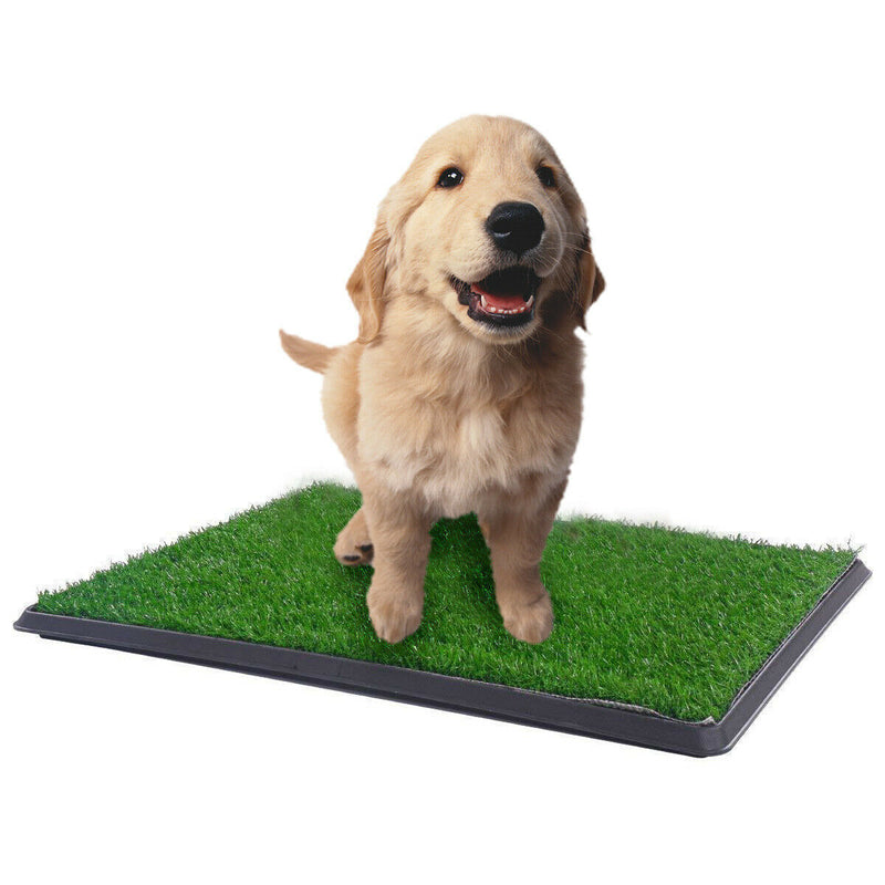 YES4PETS XL Indoor Dog Puppy Toilet Grass Training Mat Loo Pad Potty