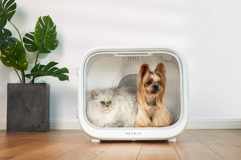 PETKIT AIRSALON Smart Pet Dryer Box