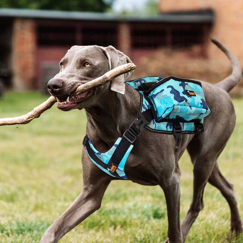 Ondoing Dog Backpack Harness Pet Carrier Saddle Bag Reflective Adjustable Outdoor Hiking