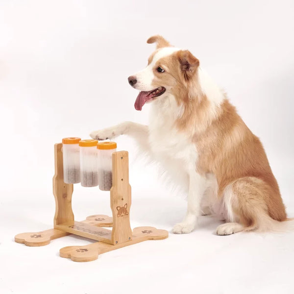 3-Bottle Dog Puzzle Toy Feeder