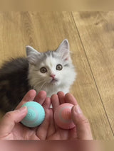 Cats Toy Automatic Rolling Ball Electric